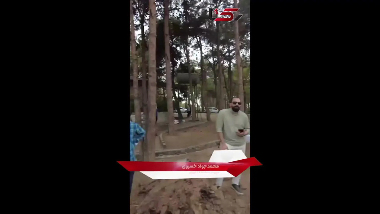 درختان چیتگر آفت زده و خشک شدند؛ ۲۳ هزار نهال جدید کاشته شد / ریشه مشکل به قبل از 57 بر می گردد یا پس از آن ؟  + فیلم