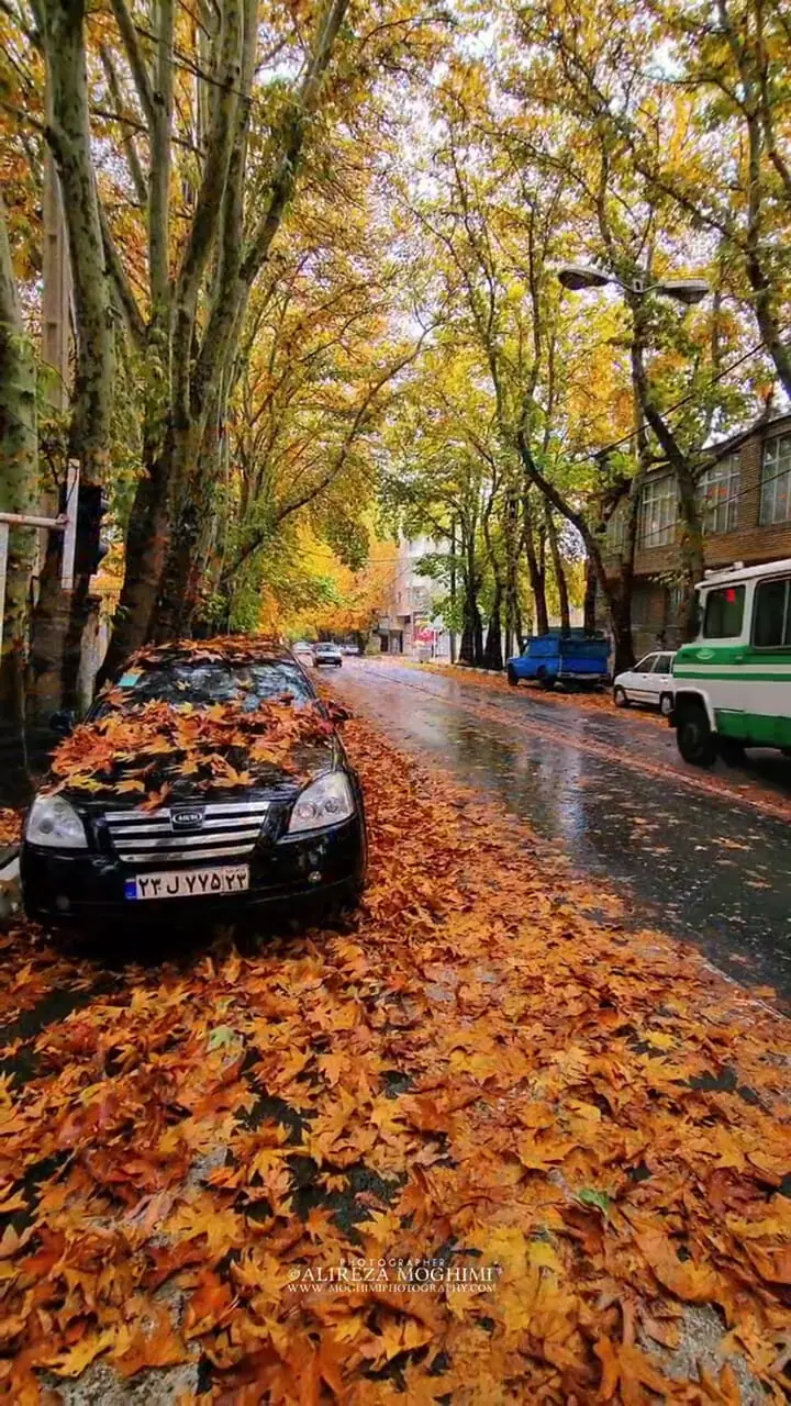 تصاویر پاییزی خیابان خوانسار را ببینید