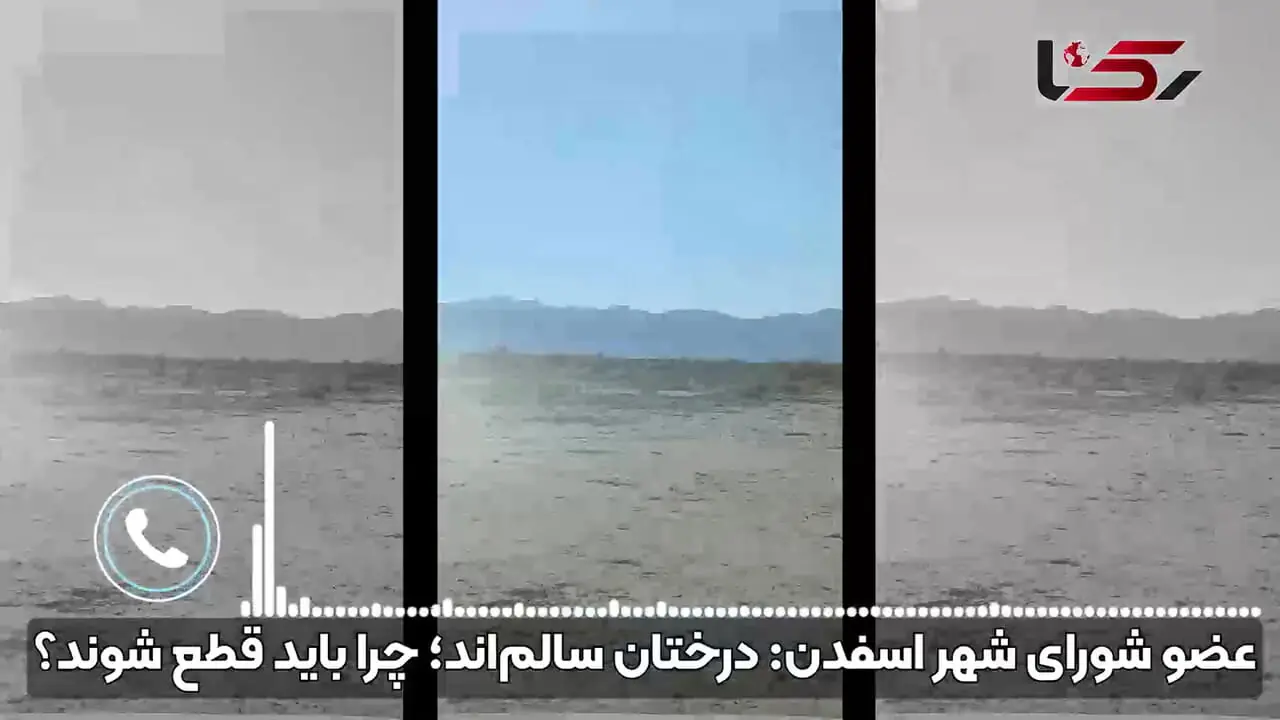 اعتراض مردم قائنات به قطع درختان کهنسال جنگلی به بهانه اصلاح / عضو شورای شهر: درختان سالم‌اند؛ چوب آنها زغال می شود + فیلم