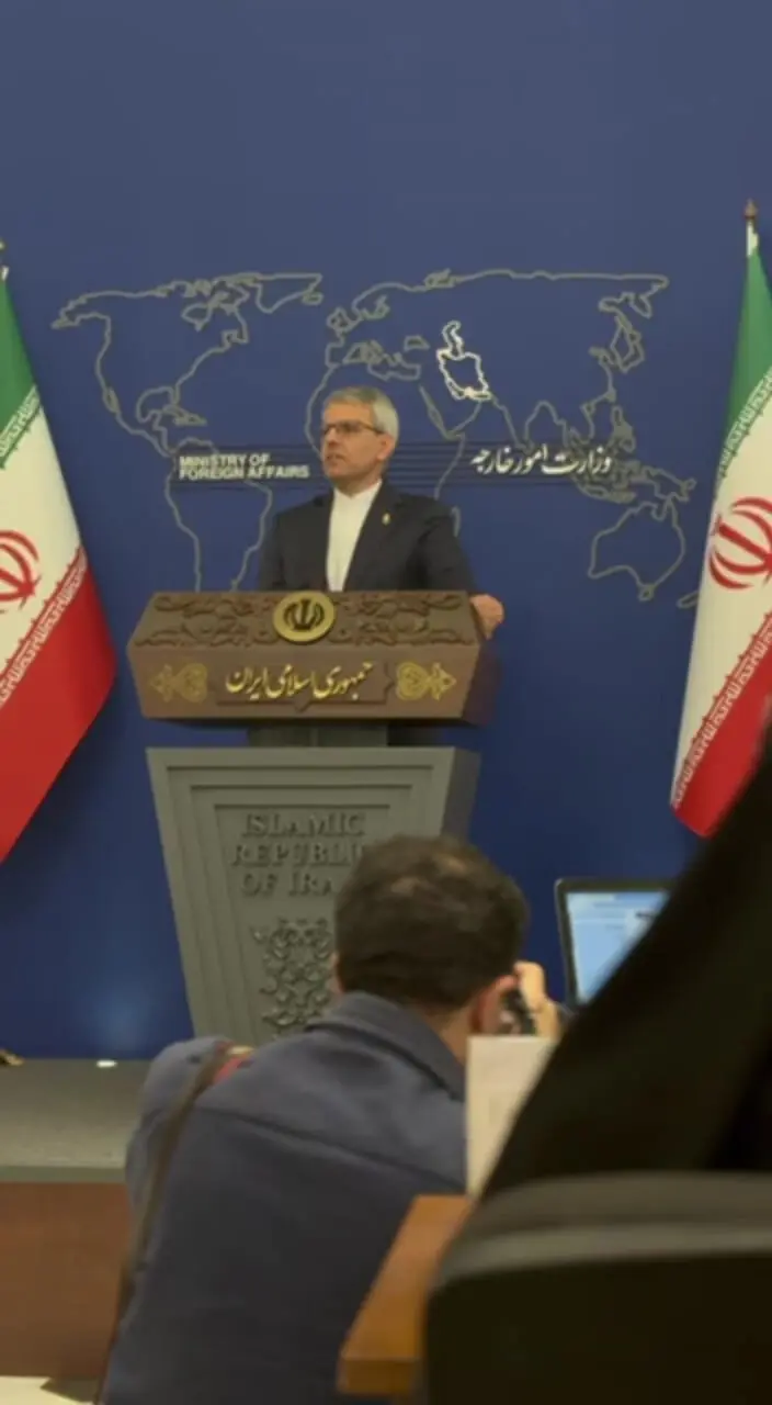 فیلم / پیام سیاسی سخنگوی وزارت خارجه با شعرخوانی