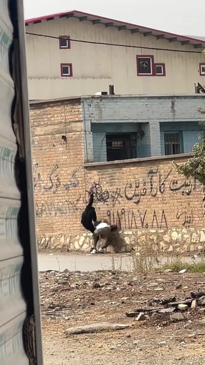 فیلم/ فصل جدید فرار از زندان این بار در کرمانشاه ! / صحنه فرار دو دانش آموز از روی دیوار مدرسه