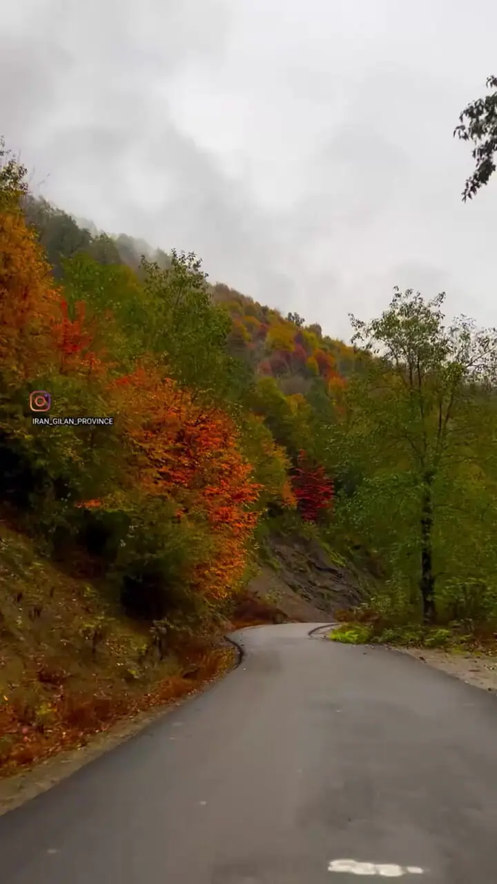 جاده‌ بی‌ نظیر بلوردکان در دل پاییز گیلان 