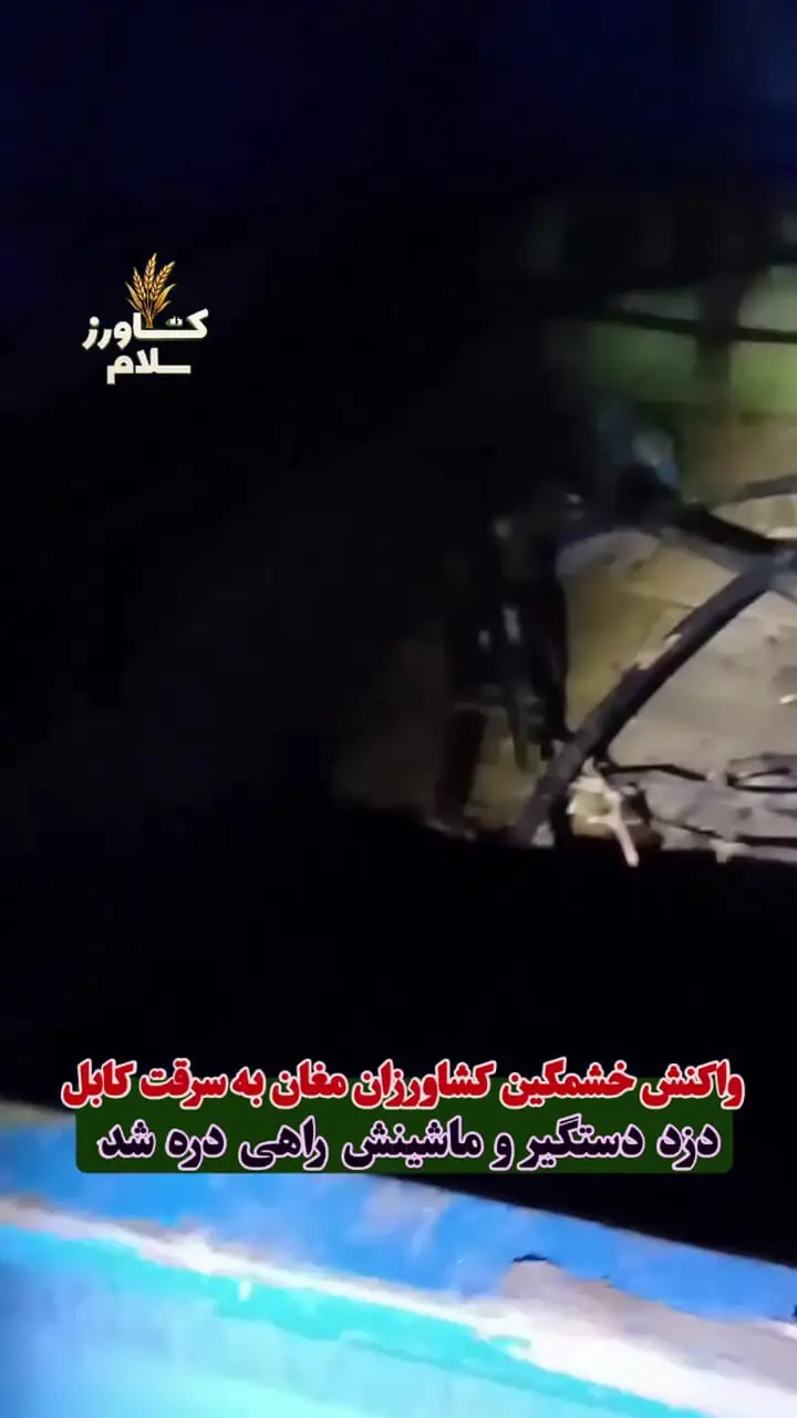 فیلم /واکنش عجیب کشاورزان مغان به دستگیری کابل‌دزد/نیسان سارق را به ته دره انداختند!